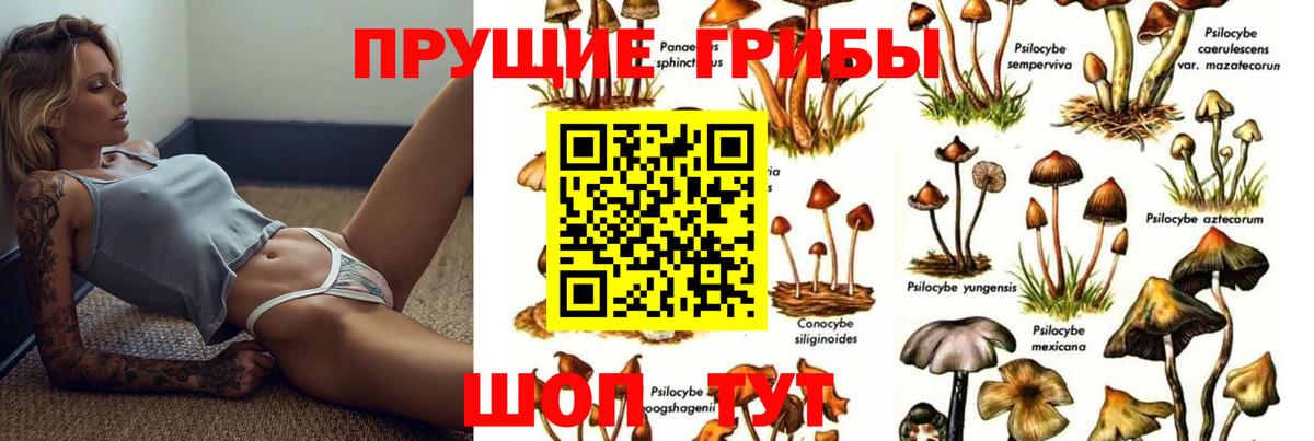 Галлюциногенные грибы мицелий Сарапул