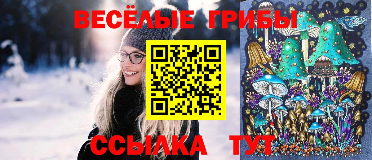 Псилоцибиновые грибы MAGIC MUSHROOMS  Вход с VPN  Сарапул 